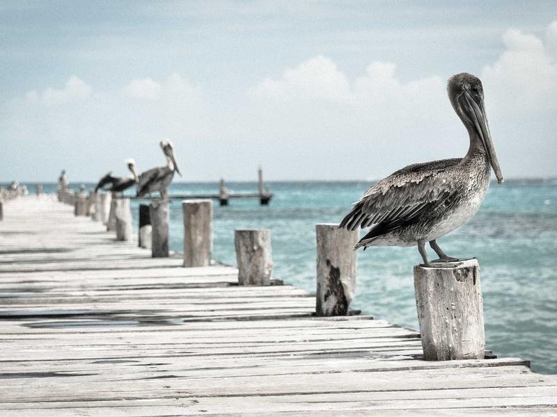 徒步冈仁波齐<br>ljvwvuu.cn 转山转水转佛塔